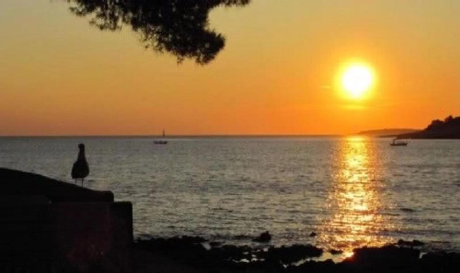 Apartments Arsen Mali Lošinj