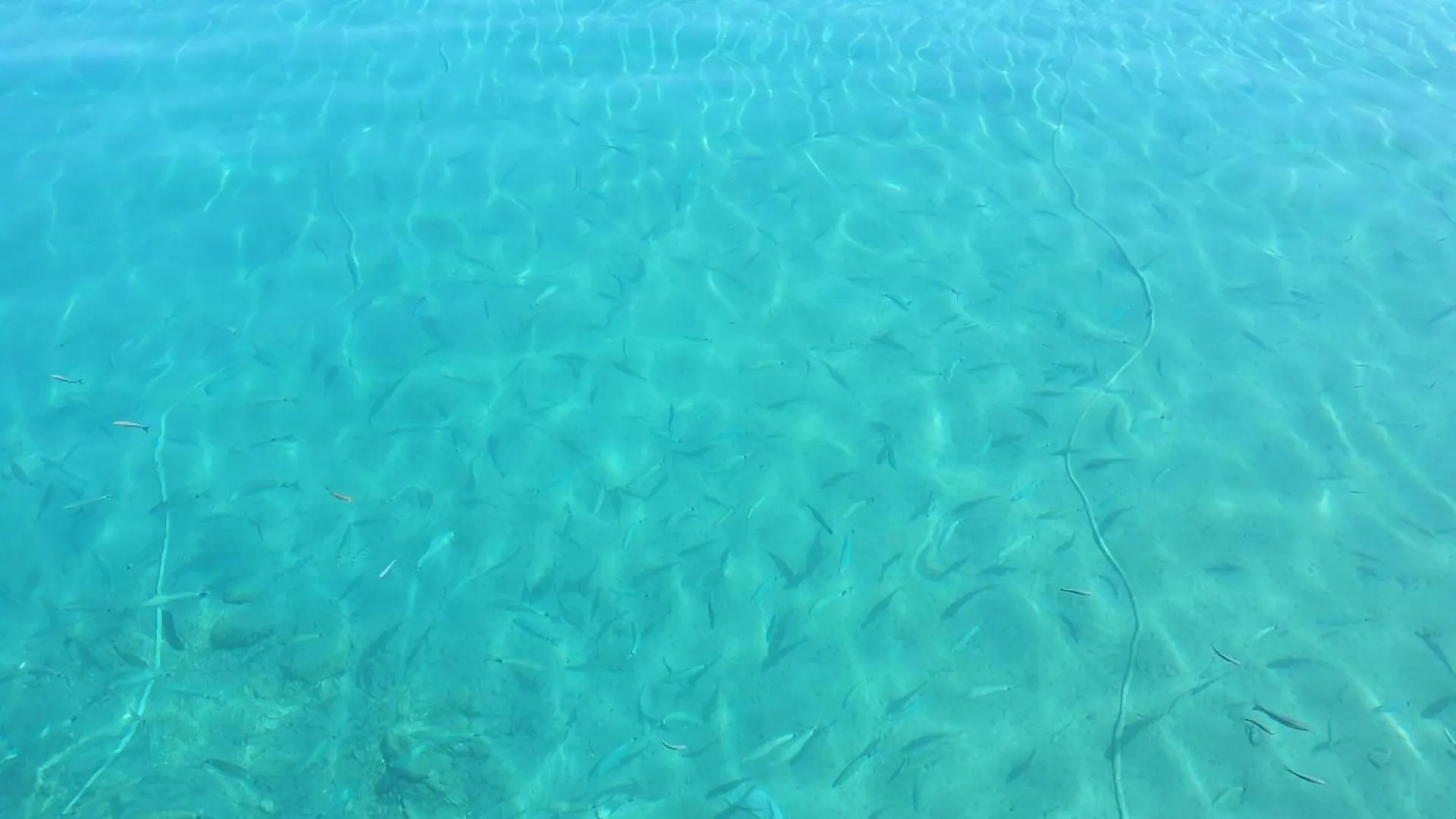Apartments Arsen Mali Lošinj
